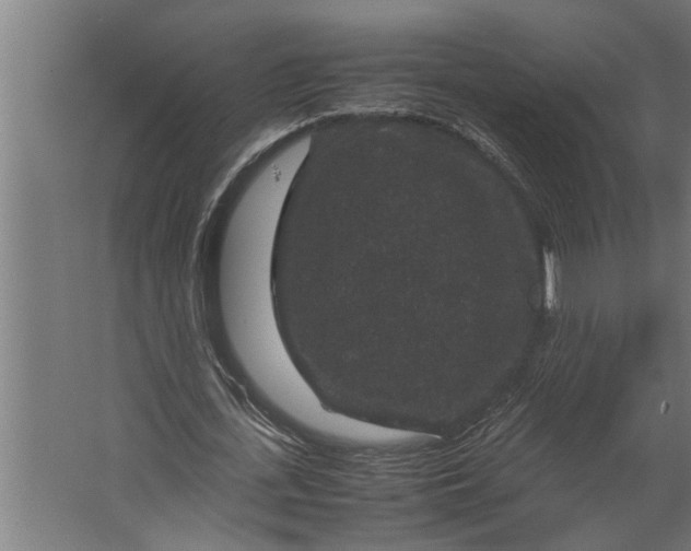 X0000067500723200604211724