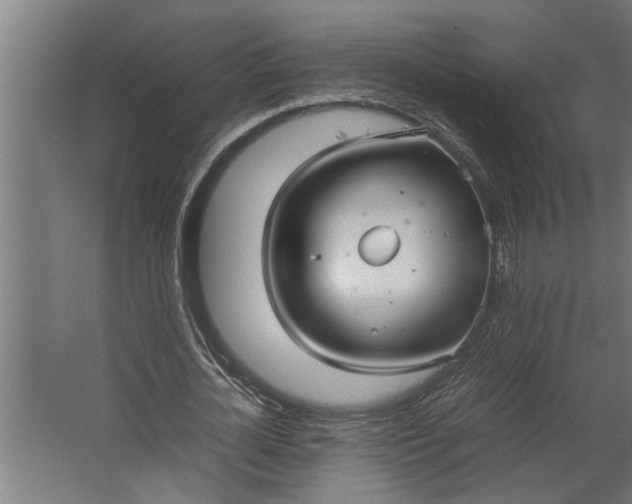 X0000067500724200604211724