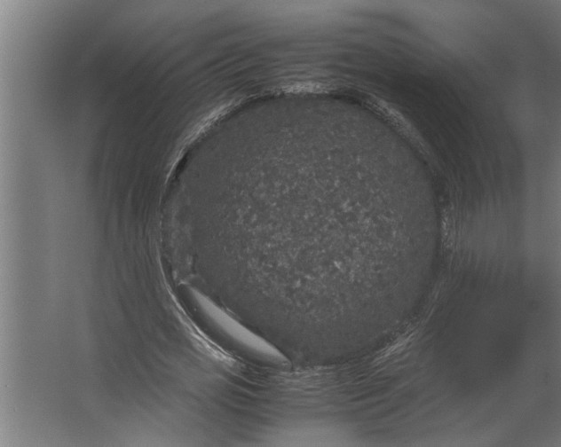 X0000067500725200604211724