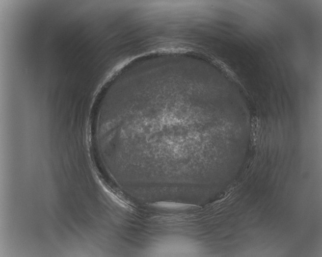 X0000067500726200604211724