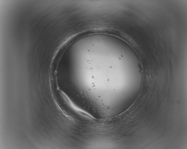 X0000067500728200604211724