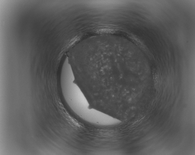 X0000067500729200604211724