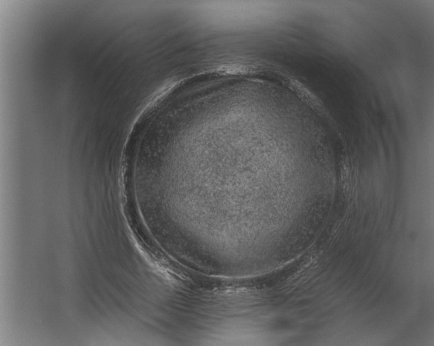 X0000067500730200604211724