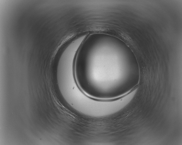 X0000067500731200604211724