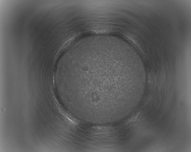 X0000067500733200604211724