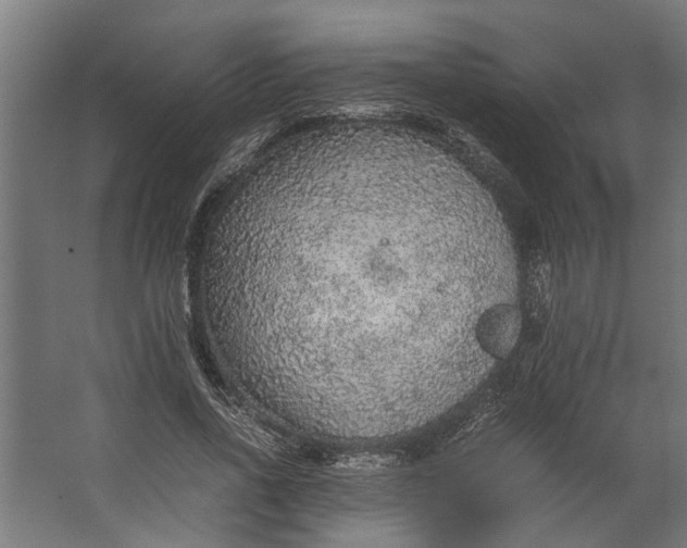 X0000067500734200604211724