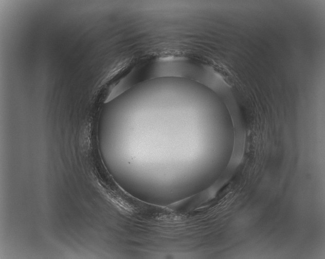 X0000067500735200604211724