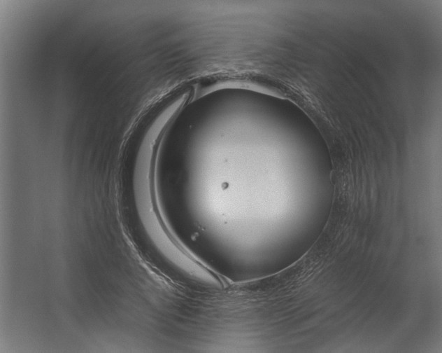 X0000067500736200604211724