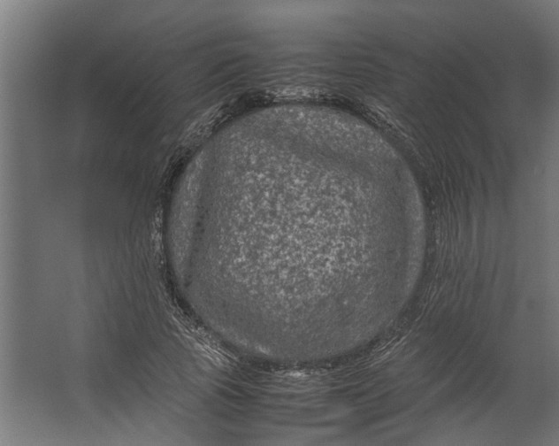 X0000067500737200604211724