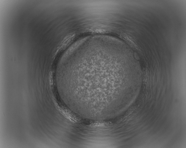 X0000067500738200604211724