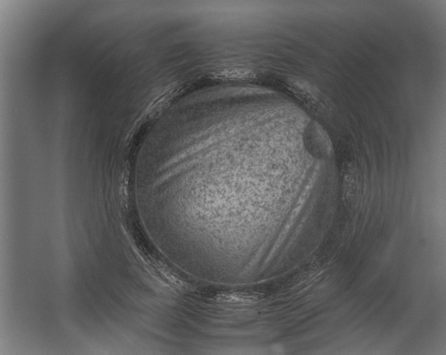 X0000067500739200604211724