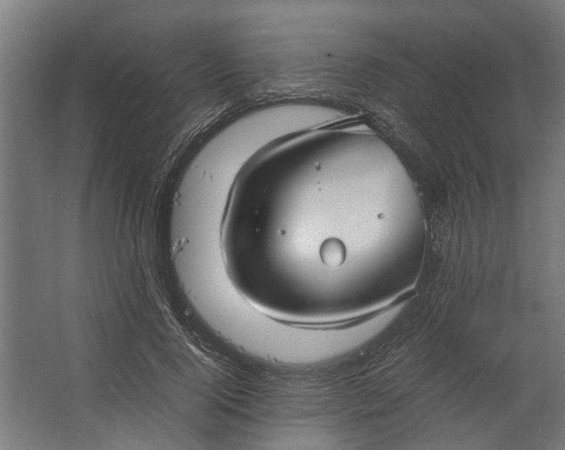 X0000067500740200604211724