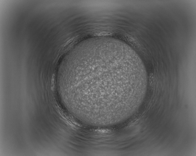 X0000067500741200604211724