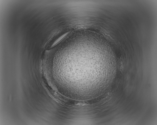 X0000067500742200604211724