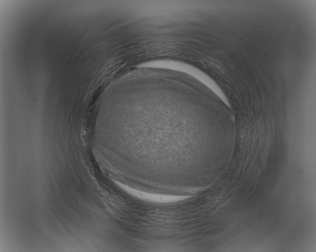 X0000067500743200604211724