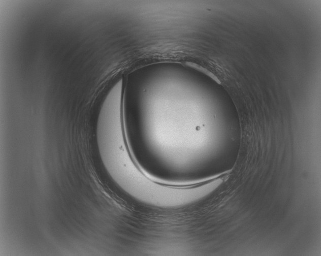 X0000067500744200604211724