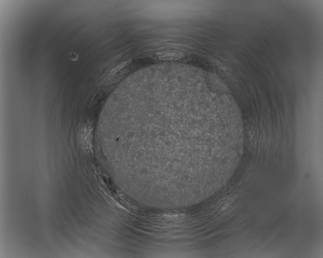 X0000067500745200604211724