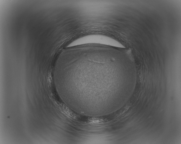 X0000067500746200604211724