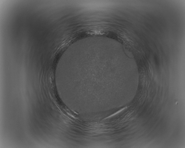 X0000067500747200604211724