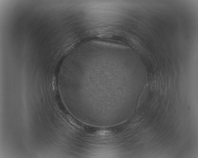 X0000067500748200604211724