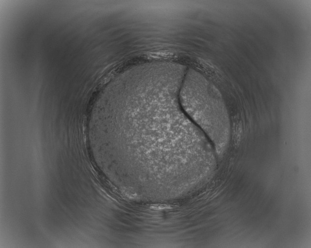 X0000067500749200604211724