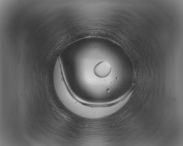 X0000067500750200604211724