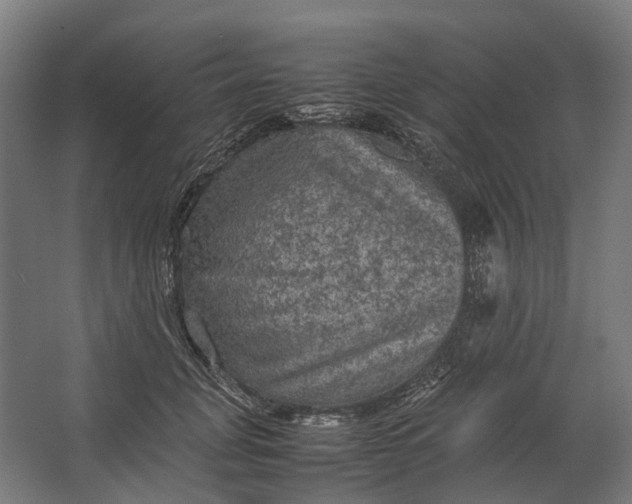 X0000067500751200604211724