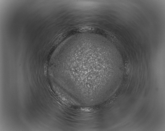 X0000067500753200604211724