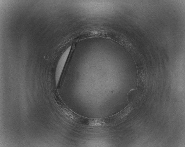 X0000067500754200604211725