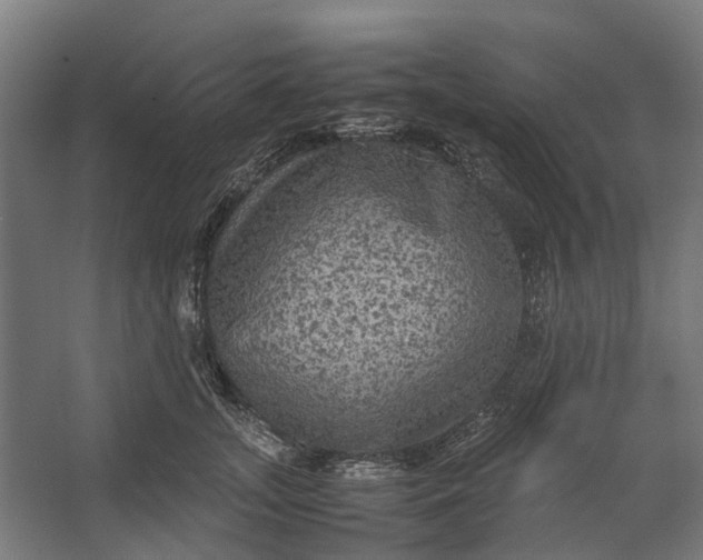 X0000067500755200604211725