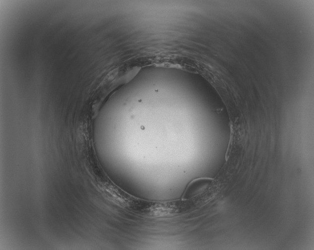 X0000067500756200604211725