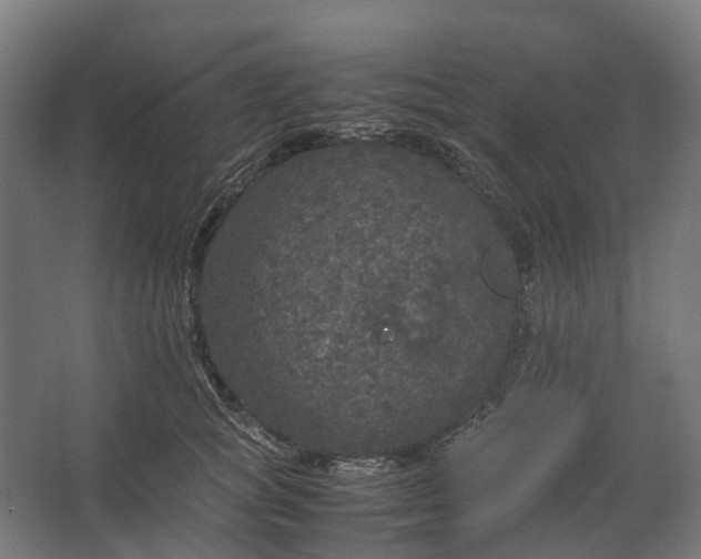 X0000067500757200604211725