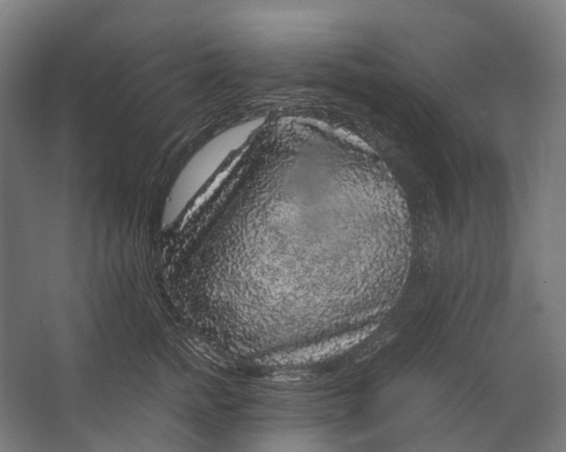 X0000067500758200604211725