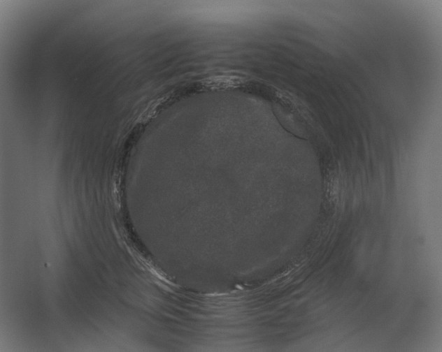 X0000067500759200604211725