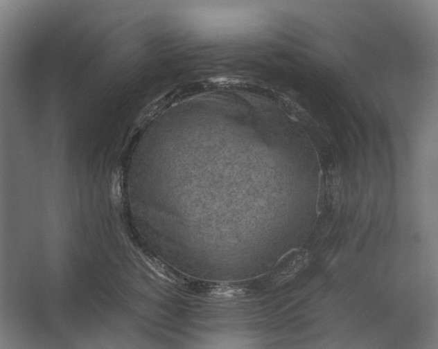 X0000067500760200604211725