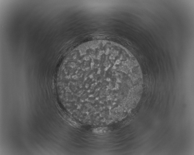 X0000067500761200604211725