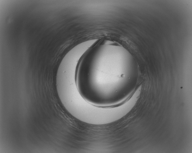 X0000067500762200604211725