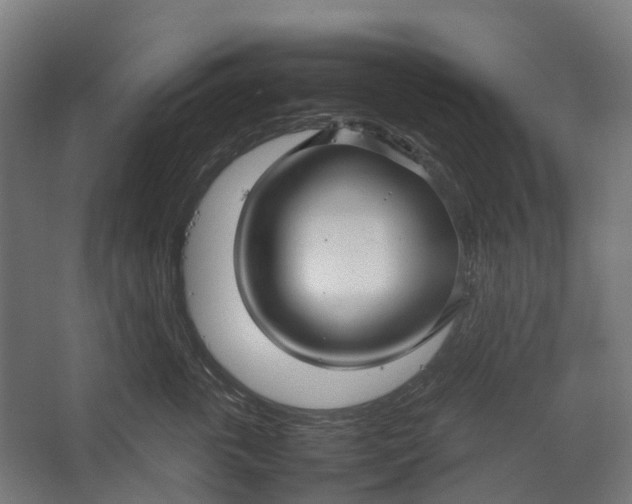 X0000067500763200604211725