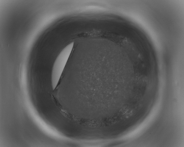 X0000067500765200604211725