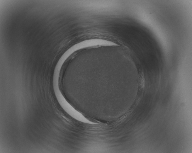 X0000067500766200604211725