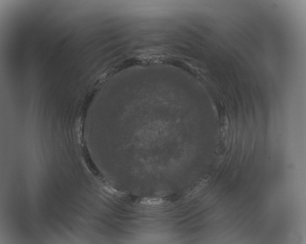 X0000067500767200604211725