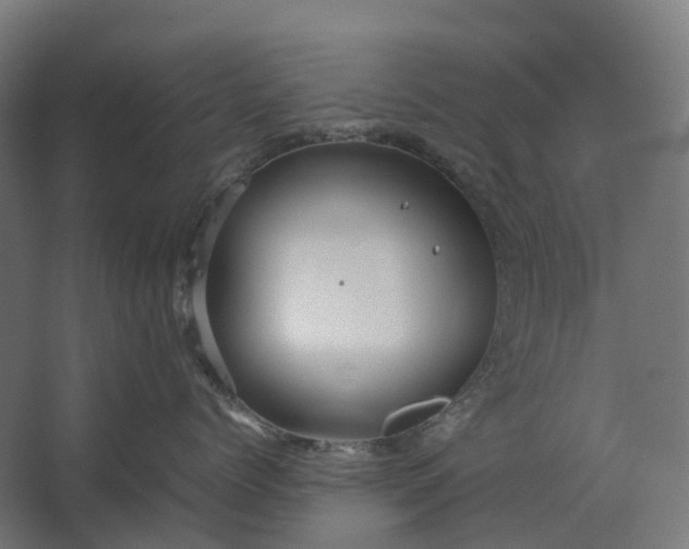 X0000067500768200604211725