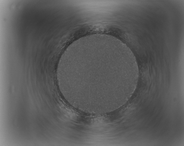 X0000067500769200604211724