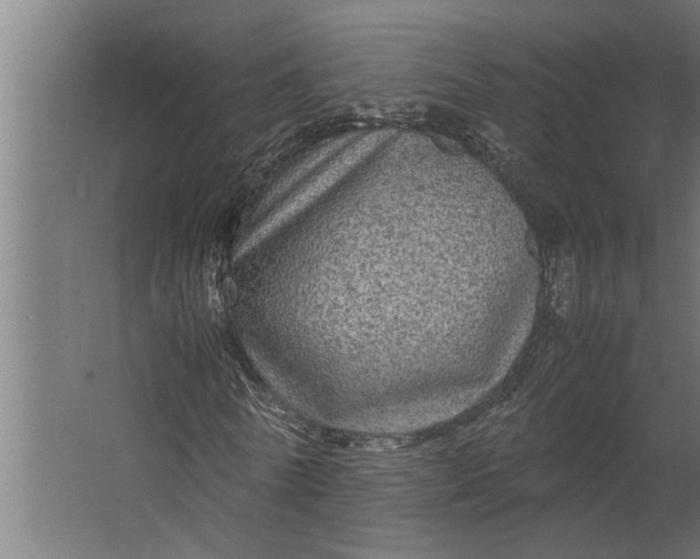 X0000067500770200604211724