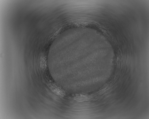 X0000067500772200604211724