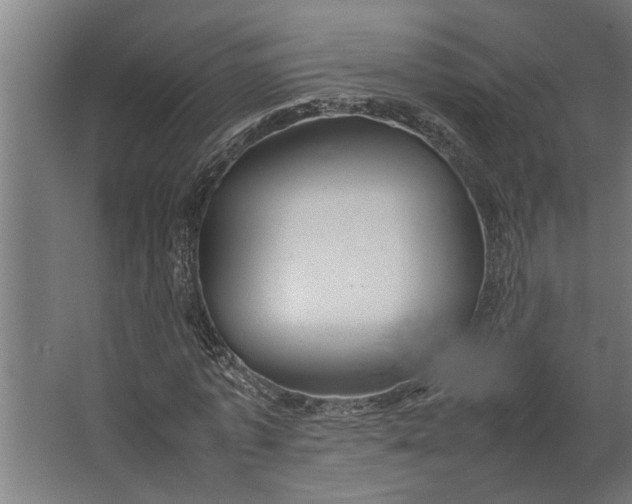 X0000067500773200604211724