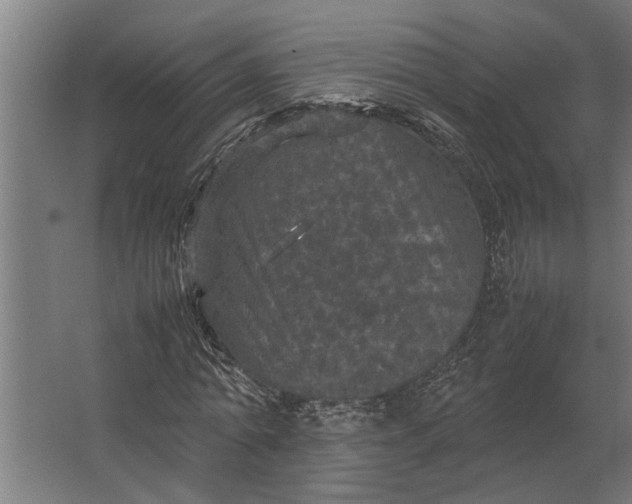 X0000067500774200604211724