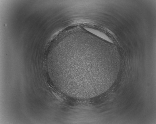 X0000067500775200604211724