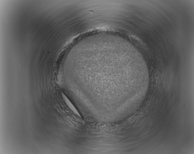 X0000067500776200604211724