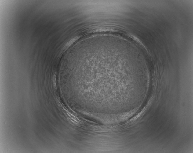 X0000067500777200604211724